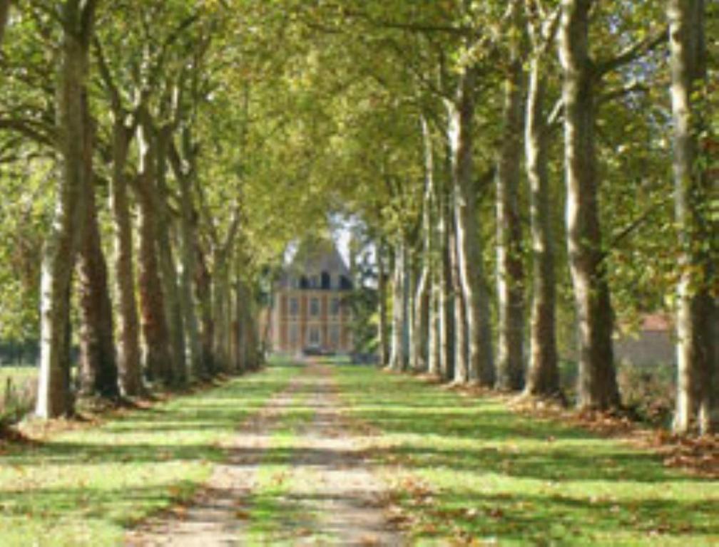 Chateau De Villars Villeneuve-sur-Allier Экстерьер фото