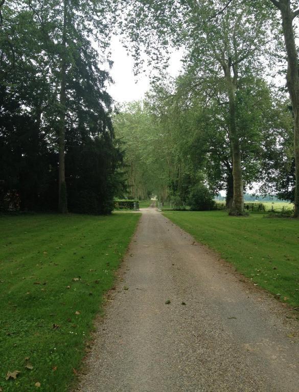 Chateau De Villars Villeneuve-sur-Allier Экстерьер фото